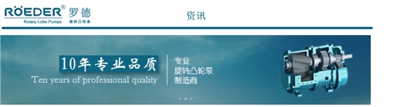 羅德轉(zhuǎn)子泵 羅德轉(zhuǎn)子泵