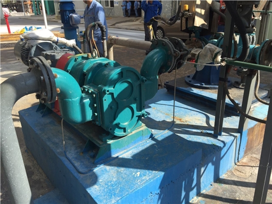 羅德RDD100型漿液提升輸送橡膠凸輪轉(zhuǎn)子泵 羅德RDD100型漿液提升輸送橡膠凸輪轉(zhuǎn)子泵