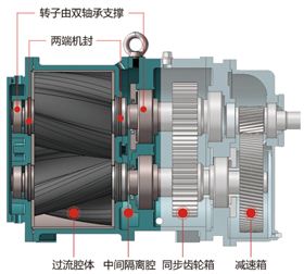 凸輪轉(zhuǎn)子泵 凸輪轉(zhuǎn)子泵