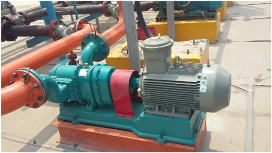 雙向轉(zhuǎn)子泵 雙向轉(zhuǎn)子泵