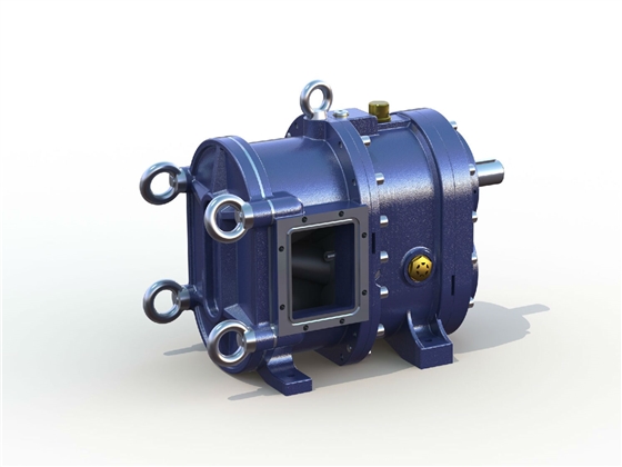 凸輪轉(zhuǎn)子泵 凸輪轉(zhuǎn)子泵