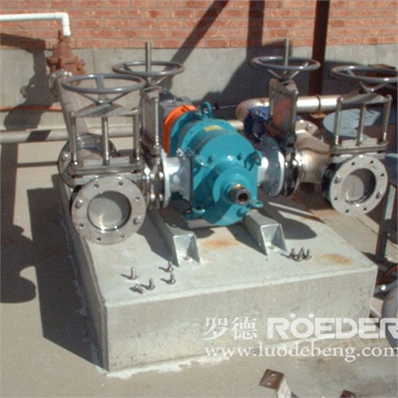 轉(zhuǎn)子泵 轉(zhuǎn)子泵