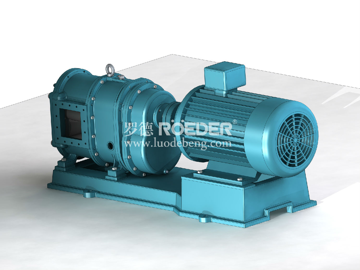 凸輪轉(zhuǎn)子泵 凸輪轉(zhuǎn)子泵