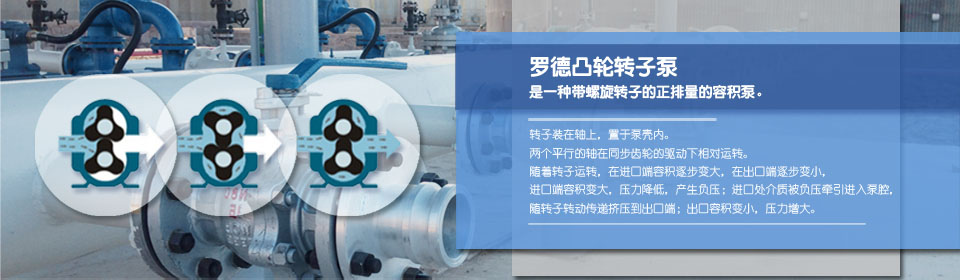 轉(zhuǎn)子泵廠家 轉(zhuǎn)子泵廠家