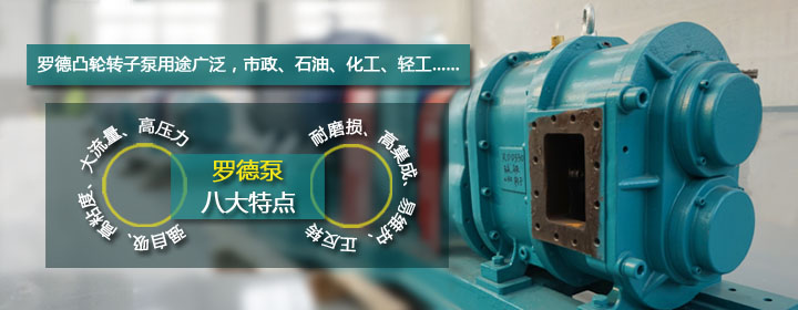 羅德品牌凸輪轉(zhuǎn)子泵特點(diǎn)1 羅德品牌凸輪轉(zhuǎn)子泵特點(diǎn)1