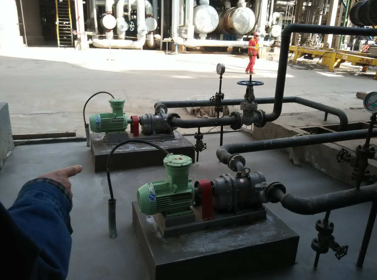 中石油華北石化使用的羅德RDB12型凸輪轉(zhuǎn)子泵 中石油華北石化使用的羅德RDB12型凸輪轉(zhuǎn)子泵