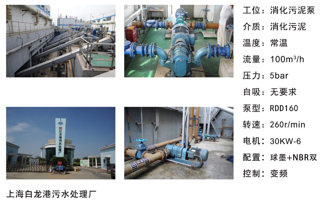 上海白龍港污水處理廠----消化污泥泵 上海白龍港污水處理廠----消化污泥泵