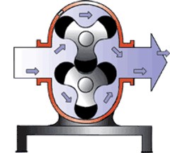 凸輪轉子泵 凸輪轉子泵