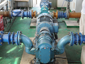 山東某污水處理廠---沉淀池污泥轉(zhuǎn)子泵 山東某污水處理廠---沉淀池污泥轉(zhuǎn)子泵