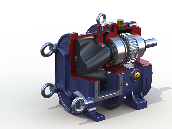 膜處理行業(yè)非要用進(jìn)口的轉(zhuǎn)子泵？